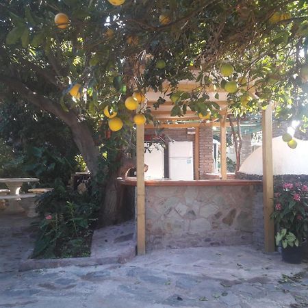 Finca Los Aguacates Trapiche  Exteriér fotografie